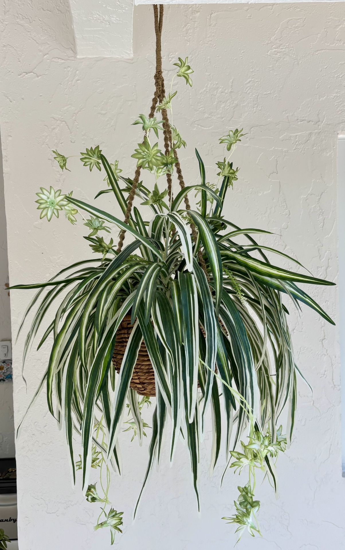 30”H Silk Spider Plant in Hanging Wicker Basket Or Table Rattan Planter