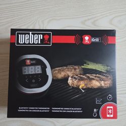 Thermometer 