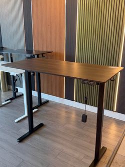 55” Wide Electric Standing Desk Height Adjustable Desk