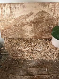 Alligator vs Wild Boar Laser Engraved Wood Art