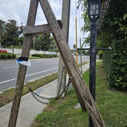 Plant Holder (Used Previously For Staghorn Fern)