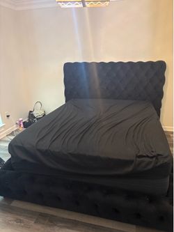 Flory Black Queen Upholstered Platform Bed