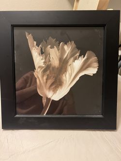 Elegant Black Wall Frame 