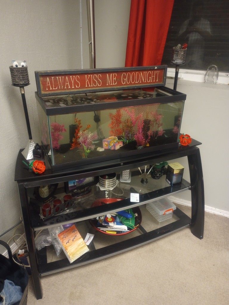 Pretty 15 Gallon Aquarium
