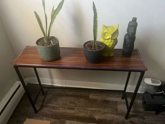 Tv/ plant/ entry way table