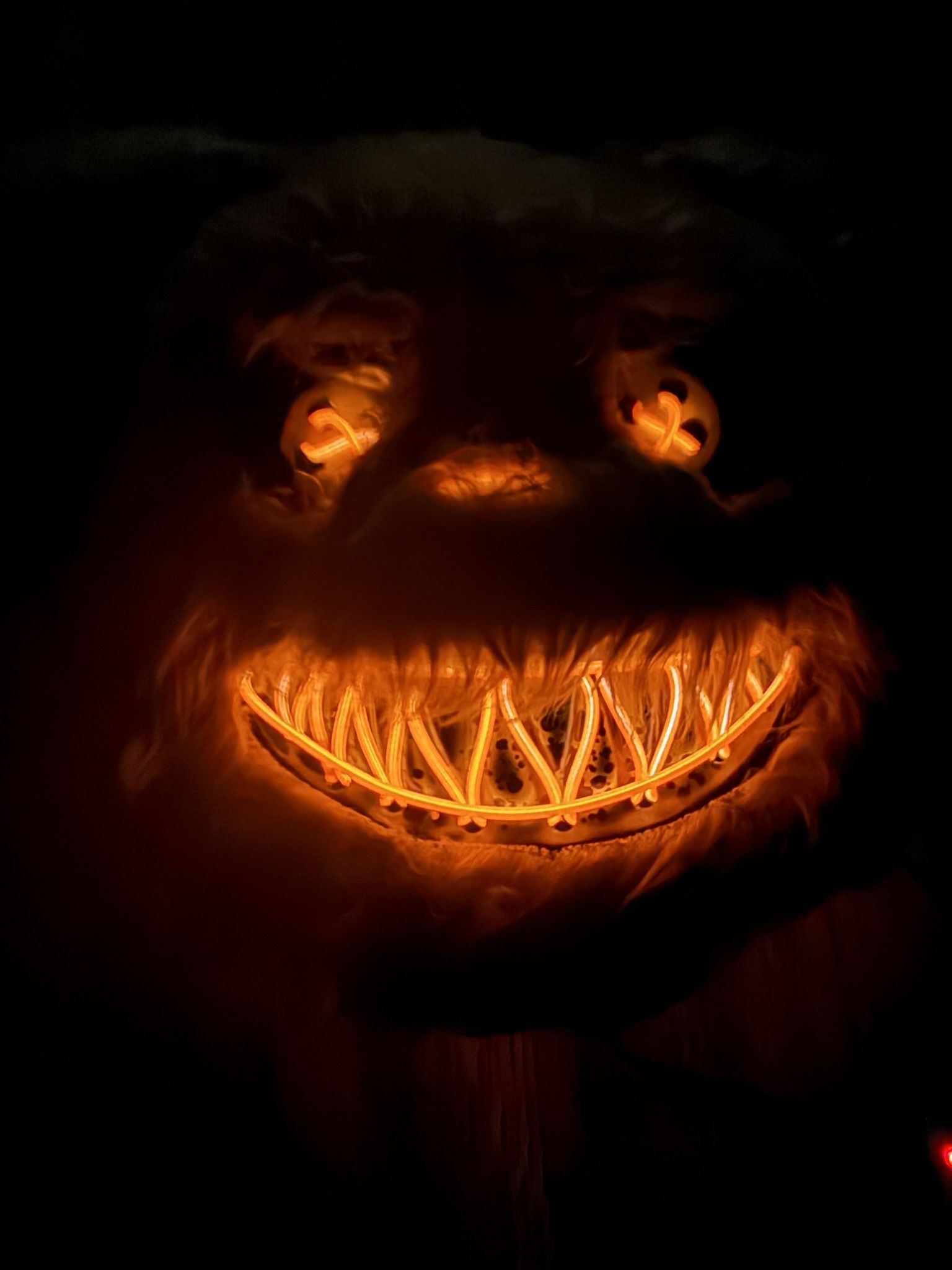 Halloween Light Up Horror Bear Mask (Batteries Included) $7