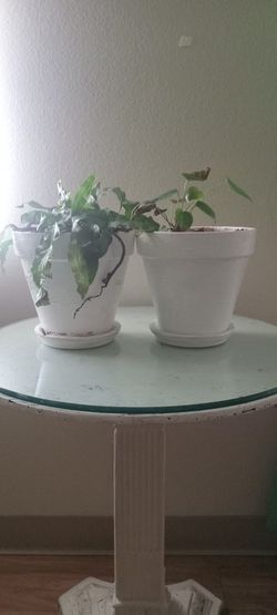 Two White Terracotta Planters (Make an Offer)