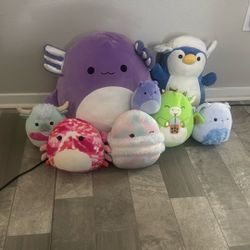 Squishmellow Family As A Whole!