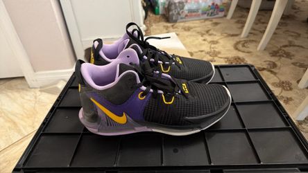 Nike LeBron Basketball Sneakers M10.5