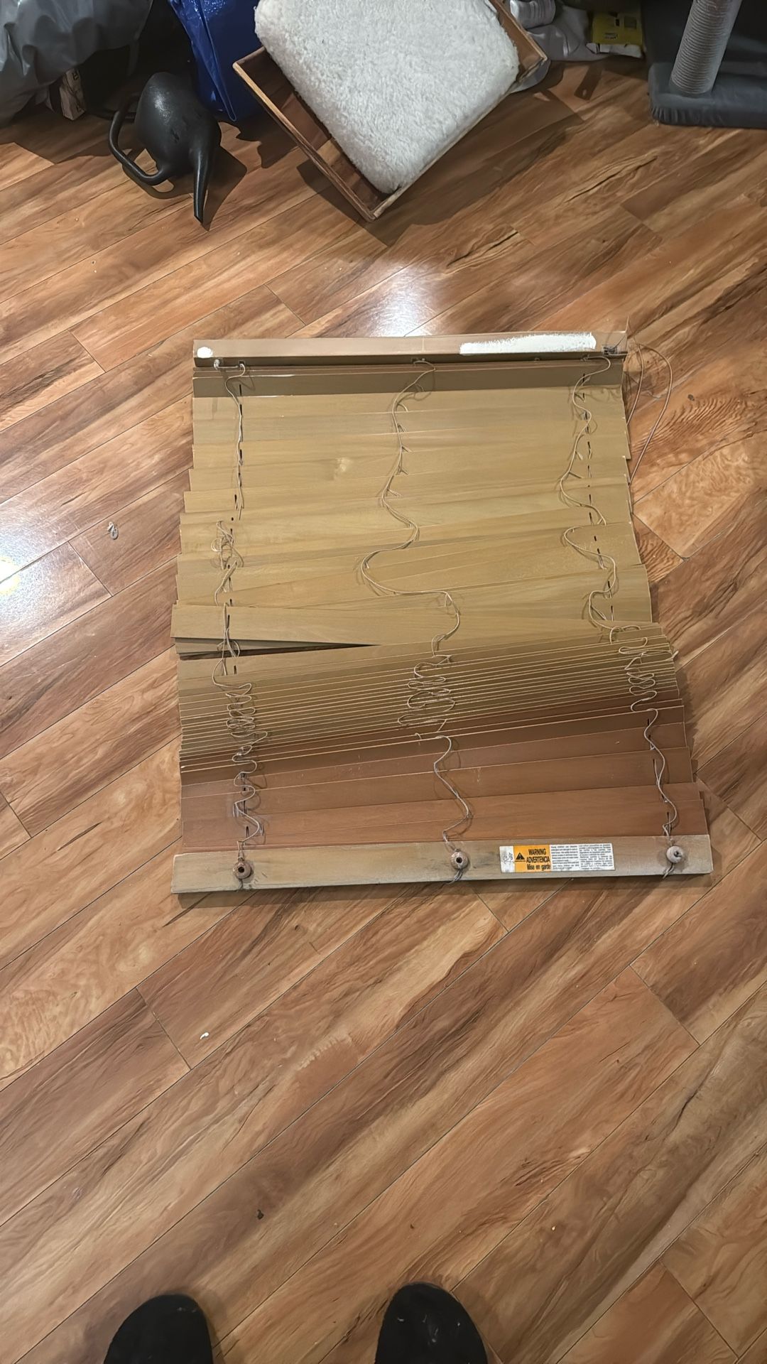 Free Windows Blinds