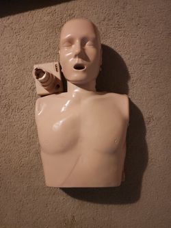 CPR Training Manikin Torso and Head