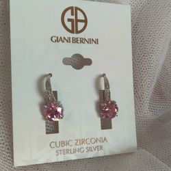 SS Earrings With Glowing Cubic Zirconia's 