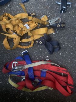 Harnesses 