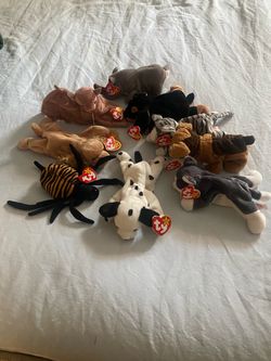 Ty toys