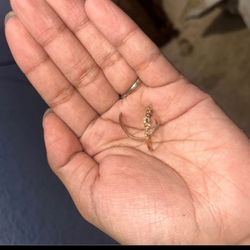 (Broken) Real Rose Gold Engagement Ring W/ Diamonds 