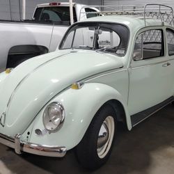 1959 volkswagen beetle