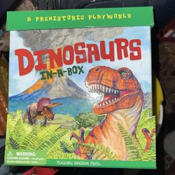 Dinosaurs In A Box