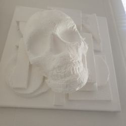 ARTWORK  SKULL 12" X 12"