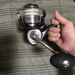 Daiwa Certate SW 8000