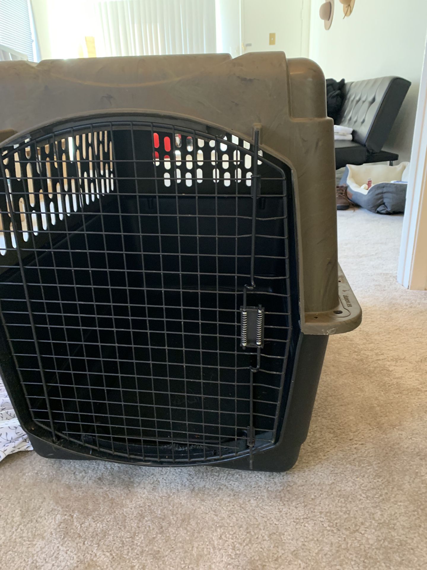Dog XL crate