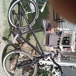 Trex Trick Bike 24"Rims