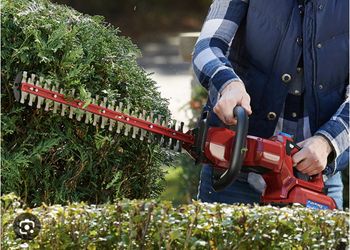 Yard Cutting And Bushing Trimming 