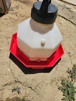 Little Giant Waterer for chickens ducks