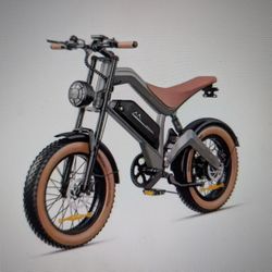 Electric Bike, 750 W, 48 Volt, New In Box.