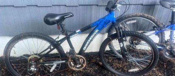 Cobra 24 diamondback bike
