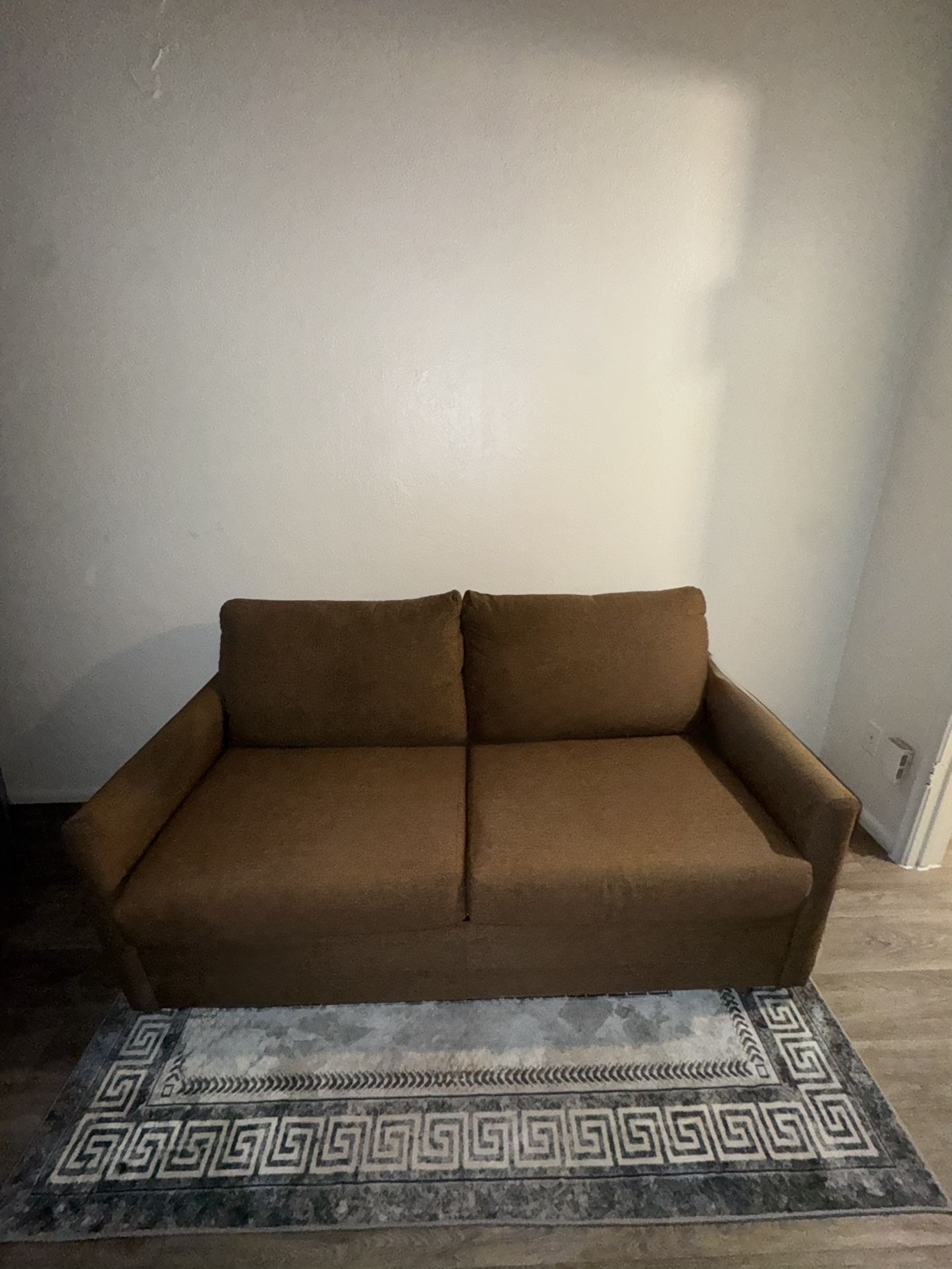 Sleek Pull Out Couch 