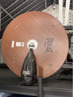 everlast speed bag