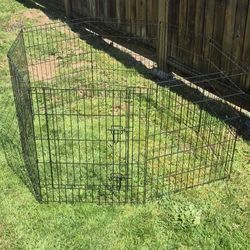 Dog Cage 