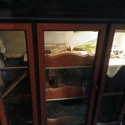 Reptile Enclosure 