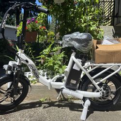 Electric Bike Foldable 16" Peak 500W Motor