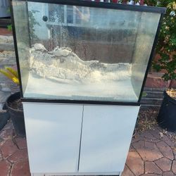 35 Gallon Fish Tank And Stand