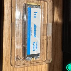 TN320 1TB NVMe M.2 Gen 3x4 2280 SSD