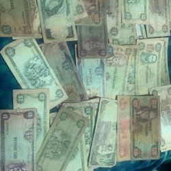 Jamaica Currency Dollars Bills