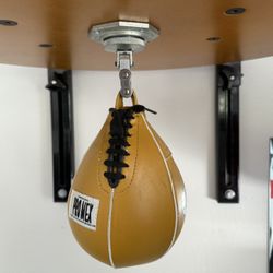 Balazs I-box Speed Bag Setup + ProMex Speed Bag