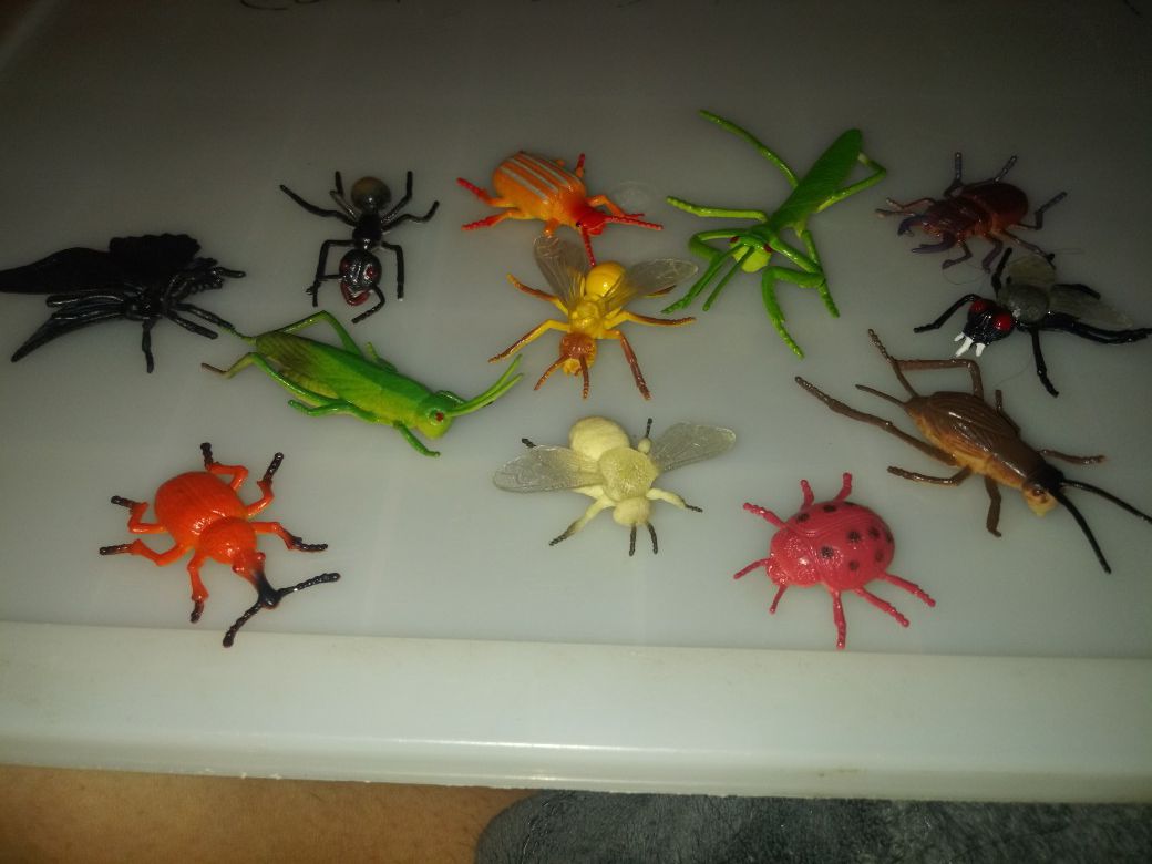 Toy Bugs lot