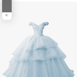 Quince Dress / Ball Gown 
