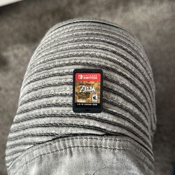 The legend of Zelda breath of the wild