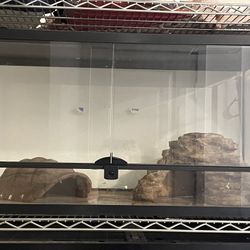 Reptile Enclosure 