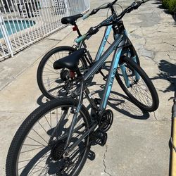 Buena Vista Bikes