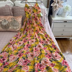 Windsor Chiffon Maxi Dress Size Large, New Whit Tags 