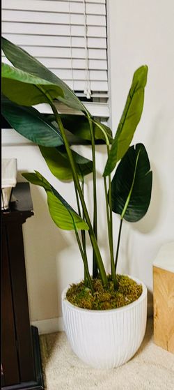 Fake plant - 5feet