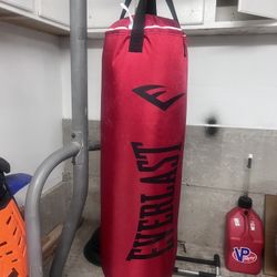 Everlast Punching Bag