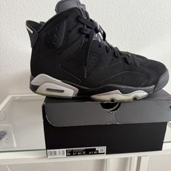 JORDAN 6’s 9.5