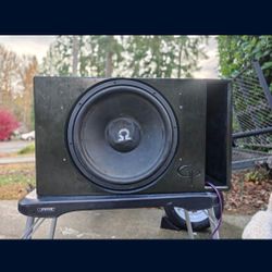 HUGE 15" Subwoofer In Custom Ported Box