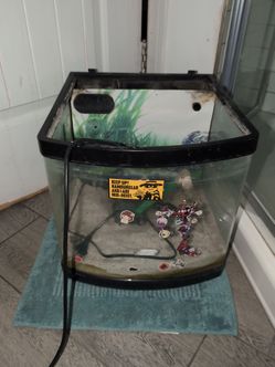 Fish Tank
