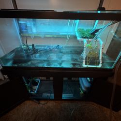 75 GALLON FISH TANK WITH STAND 